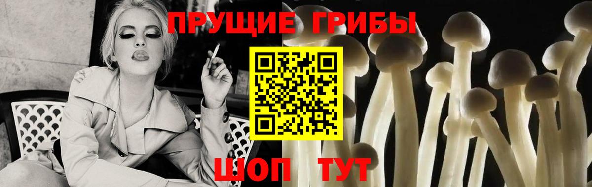 как найти   Псилоцибиновые грибы мицелий  Белгород  Вход с VPN  Галлюциногенные грибы Cubensis 